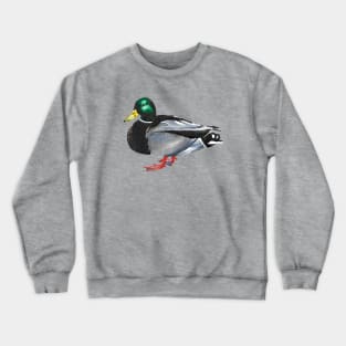 Mallard Duck - Male Crewneck Sweatshirt